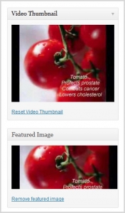 video-thumbnail-plugin